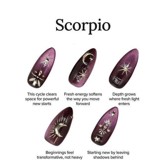 Scorpio – Cosmic Rebirth