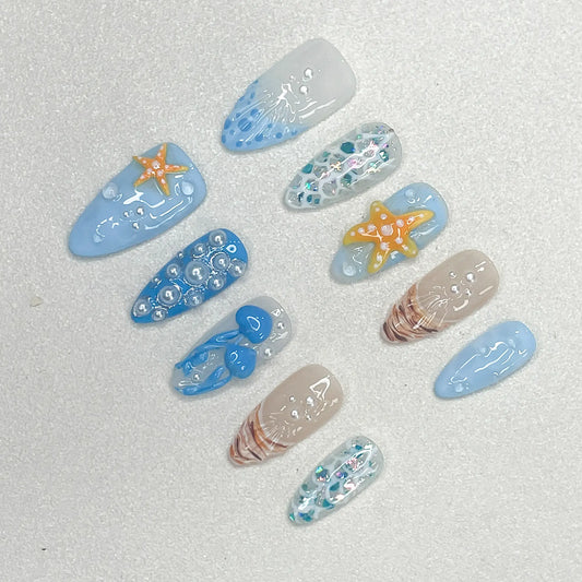 Starfish & Jellyfish